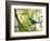 A Green Honeycreeper, Chlorophanes Spiza, Resting on a Branch-Alex Saberi-Framed Photographic Print