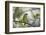 A Green Honeycreeper, Chlorophanes Spiza, Rests in a Tree in Ubatuba, Brazil-Alex Saberi-Framed Photographic Print