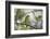 A Green Honeycreeper, Chlorophanes Spiza, Rests in a Tree in Ubatuba, Brazil-Alex Saberi-Framed Photographic Print