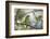 A Green Honeycreeper, Chlorophanes Spiza, Rests in a Tree in Ubatuba, Brazil-Alex Saberi-Framed Photographic Print