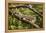 A Green Iguana (Iguana Iguana) (Common Iguana) (American Iguana), in the Jungle of Costa Rica-Stuart Forster-Framed Premier Image Canvas