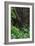 A Green Lush Jungle Entrance to the Grotto Azul Cave System in Bonito, Brazil-Alex Saberi-Framed Photographic Print