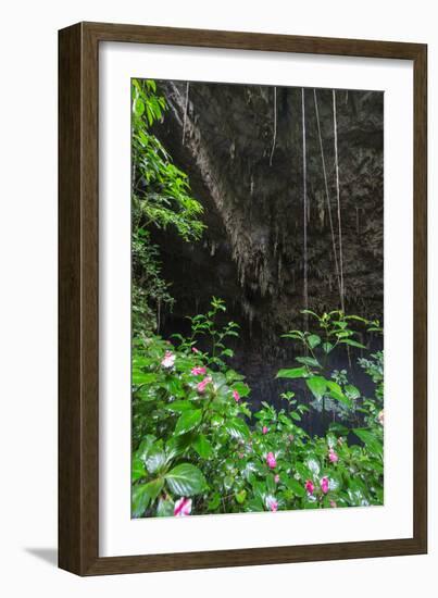 A Green Lush Jungle Entrance to the Grotto Azul Cave System in Bonito, Brazil-Alex Saberi-Framed Photographic Print