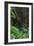 A Green Lush Jungle Entrance to the Grotto Azul Cave System in Bonito, Brazil-Alex Saberi-Framed Photographic Print