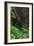 A Green Lush Jungle Entrance to the Grotto Azul Cave System in Bonito, Brazil-Alex Saberi-Framed Photographic Print