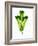 A Green Oak Leaf-Hermann Mock-Framed Photographic Print