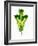 A Green Oak Leaf-Hermann Mock-Framed Photographic Print