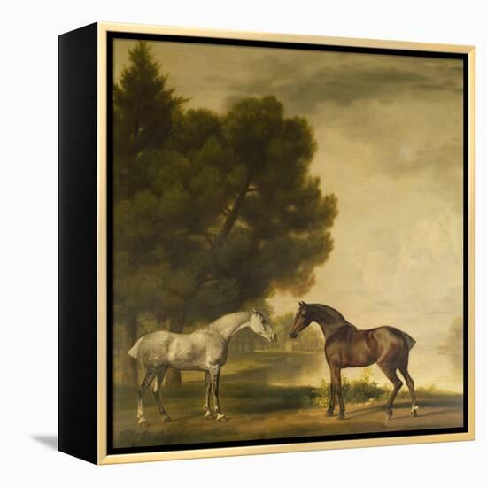 A Grey and a Bay in a Landscape-George Stubbs-Framed Premier Image Canvas