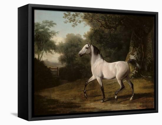 A Grey Arab Stallion in a Wooded Landscape-Jacques-Laurent Agasse-Framed Premier Image Canvas