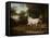 A Grey Arab Stallion in a Wooded Landscape-Jacques-Laurent Agasse-Framed Premier Image Canvas