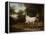 A Grey Arab Stallion in a Wooded Landscape-Jacques-Laurent Agasse-Framed Premier Image Canvas