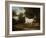 A Grey Arab Stallion in a Wooded Landscape-Jacques-Laurent Agasse-Framed Giclee Print