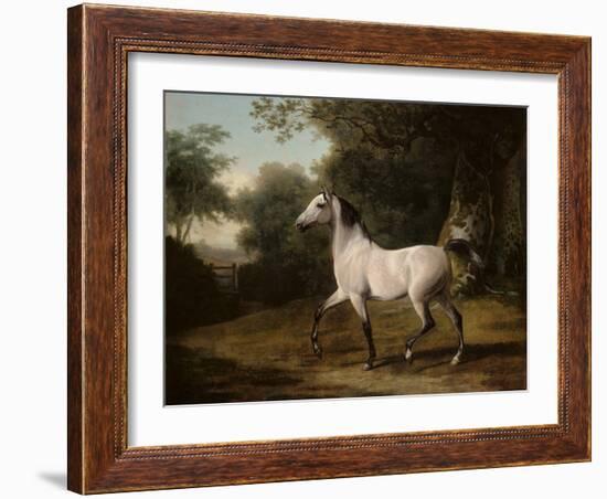 A Grey Arab Stallion in a Wooded Landscape-Jacques-Laurent Agasse-Framed Giclee Print