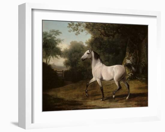 A Grey Arab Stallion in a Wooded Landscape-Jacques-Laurent Agasse-Framed Giclee Print