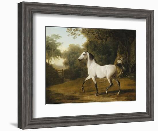 A Grey Arab Stallion in a Wooded Landscape-Jacques-Laurent Agasse-Framed Giclee Print