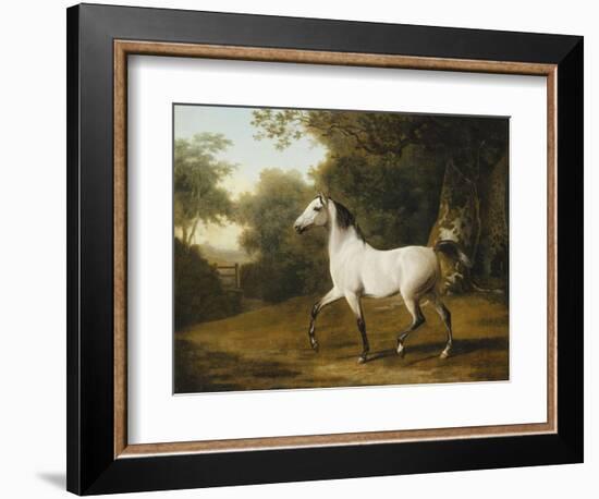 A Grey Arab Stallion in a Wooded Landscape-Jacques-Laurent Agasse-Framed Giclee Print