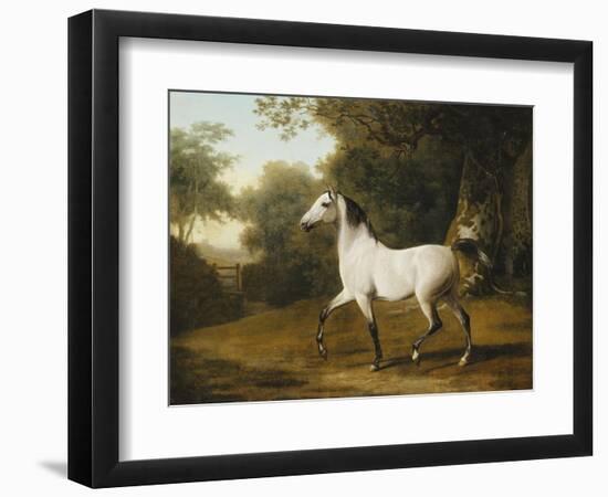 A Grey Arab Stallion in a Wooded Landscape-Jacques-Laurent Agasse-Framed Giclee Print