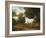 A Grey Arab Stallion in a Wooded Landscape-Jacques-Laurent Agasse-Framed Giclee Print