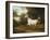 A Grey Arab Stallion in a Wooded Landscape-Jacques-Laurent Agasse-Framed Giclee Print
