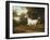 A Grey Arab Stallion in a Wooded Landscape-Jacques-Laurent Agasse-Framed Giclee Print