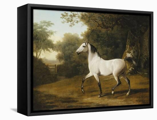 A Grey Arab Stallion in a Wooded Landscape-Jacques-Laurent Agasse-Framed Premier Image Canvas