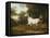 A Grey Arab Stallion in a Wooded Landscape-Jacques-Laurent Agasse-Framed Premier Image Canvas