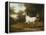 A Grey Arab Stallion in a Wooded Landscape-Jacques-Laurent Agasse-Framed Premier Image Canvas