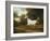 A Grey Arab Stallion in a Wooded Landscape-Jacques-Laurent Agasse-Framed Giclee Print