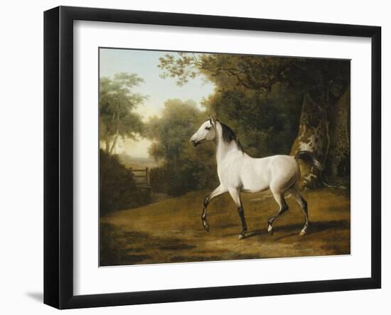 A Grey Arab Stallion in a Wooded Landscape-Jacques-Laurent Agasse-Framed Giclee Print