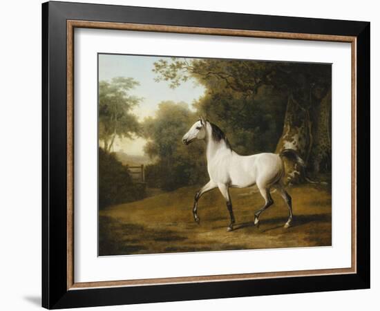 A Grey Arab Stallion in a Wooded Landscape-Jacques-Laurent Agasse-Framed Giclee Print