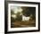 A Grey Arab Stallion in a Wooded Landscape-Jacques-Laurent Agasse-Framed Giclee Print