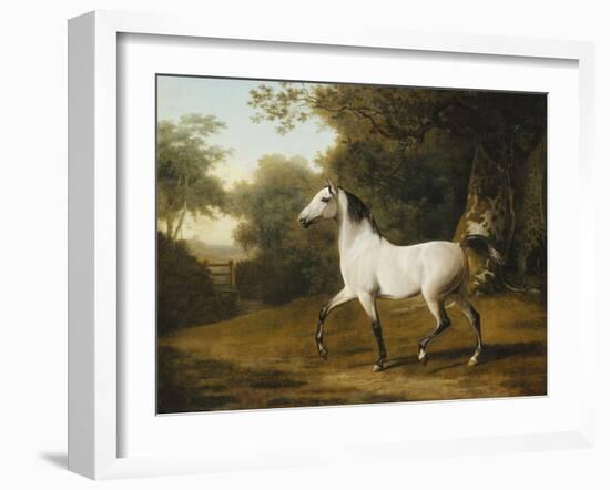 A Grey Arab Stallion in a Wooded Landscape-Jacques-Laurent Agasse-Framed Giclee Print