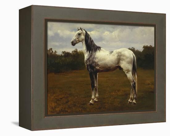 A Grey Camarguen Stallion in a Clearing-Rosa Bonheur-Framed Premier Image Canvas