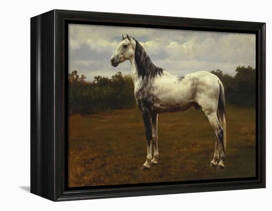 A Grey Camarguen Stallion in a Clearing-Rosa Bonheur-Framed Premier Image Canvas