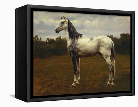 A Grey Camarguen Stallion in a Clearing-Rosa Bonheur-Framed Premier Image Canvas