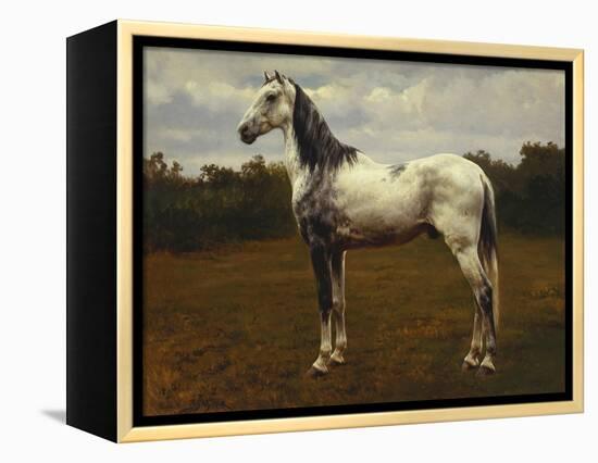 A Grey Camarguen Stallion in a Clearing-Rosa Bonheur-Framed Premier Image Canvas