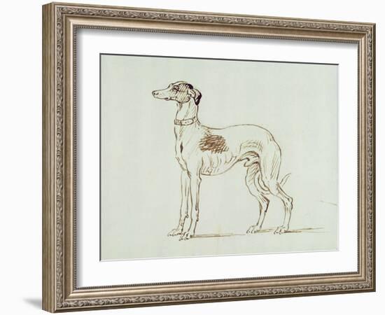 A Greyhound, Facing Left (Pen and Ink on Paper)-James Seymour-Framed Giclee Print