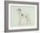 A Greyhound, Facing Left (Pen and Ink on Paper)-James Seymour-Framed Giclee Print