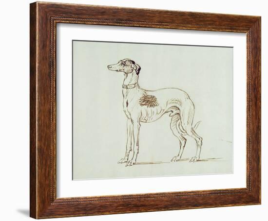 A Greyhound, Facing Left (Pen and Ink on Paper)-James Seymour-Framed Giclee Print