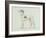 A Greyhound, Facing Left (Pen and Ink on Paper)-James Seymour-Framed Giclee Print