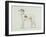 A Greyhound, Facing Left (Pen and Ink on Paper)-James Seymour-Framed Giclee Print