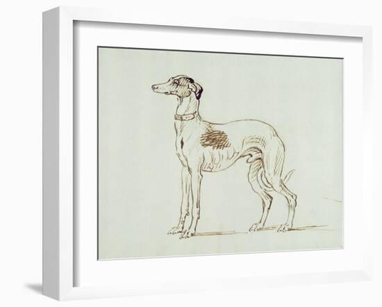 A Greyhound, Facing Left (Pen and Ink on Paper)-James Seymour-Framed Giclee Print