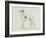 A Greyhound, Facing Left (Pen and Ink on Paper)-James Seymour-Framed Giclee Print