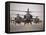 A Group of AH-64D Apache Helicopters On the Runway at COB Speicher-Stocktrek Images-Framed Premier Image Canvas