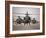 A Group of AH-64D Apache Helicopters On the Runway at COB Speicher-Stocktrek Images-Framed Photographic Print