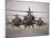 A Group of AH-64D Apache Helicopters On the Runway at COB Speicher-Stocktrek Images-Mounted Photographic Print