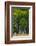 A Group of Aspens at the Beginning of the Fall Season-John Alves-Framed Photographic Print