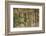 A group of blue-headed parrots cling to clay cliffs, Peru, Amazon Basin.-Art Wolfe-Framed Photographic Print