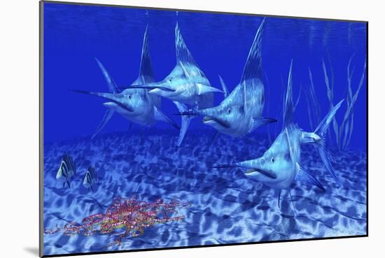 A Group of Blue Marlin with Two Siamese Tigerfish Anda Basket Star-null-Mounted Art Print