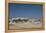 A Group of Bull Elephants, Springbok and Oryx at a Watering Hole-Alex Saberi-Framed Premier Image Canvas